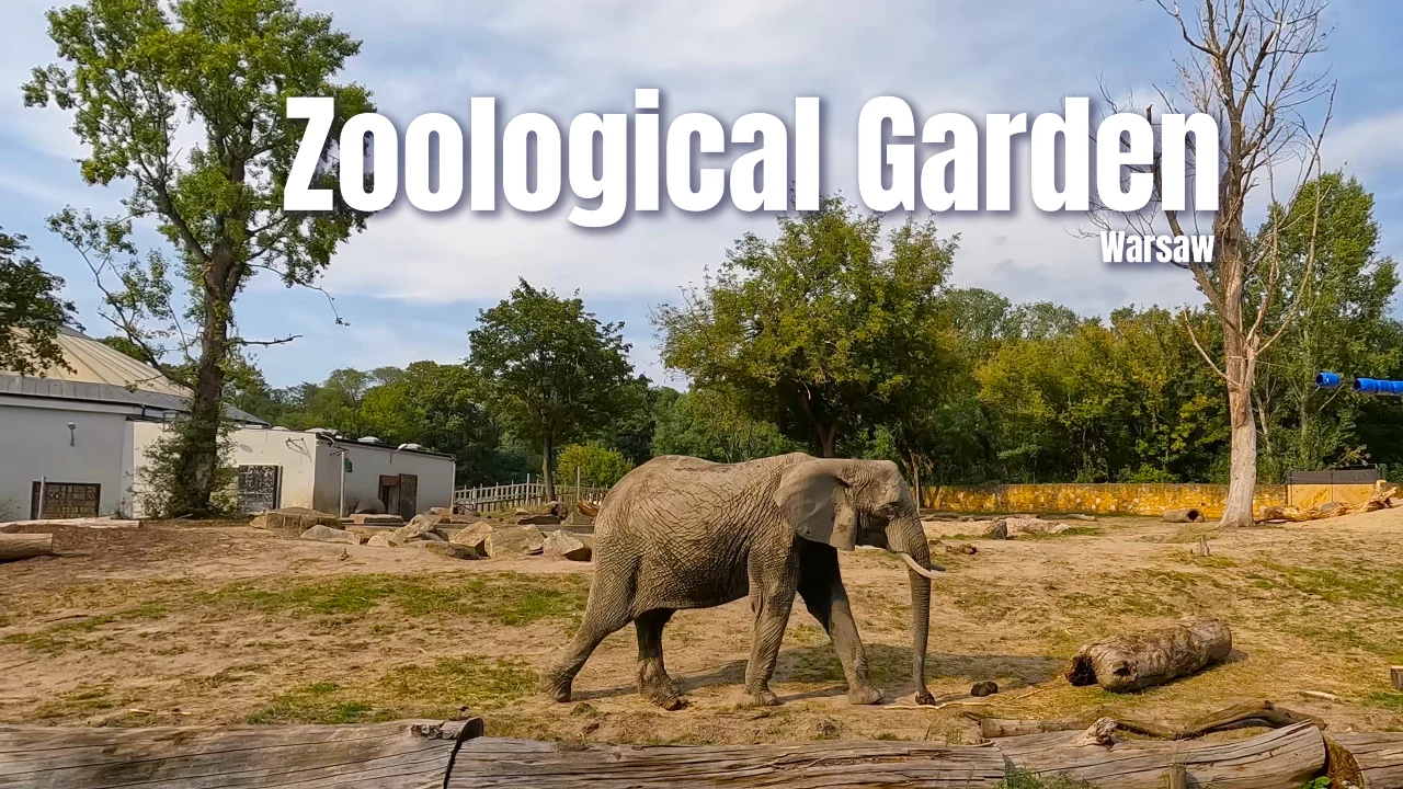 Zoological Garden in Warsaw Recap Video